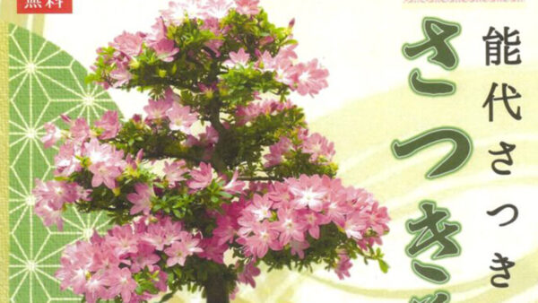 さつき花展