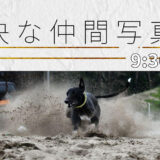 八竜写真クラブ 「愉快な仲間写真展」
