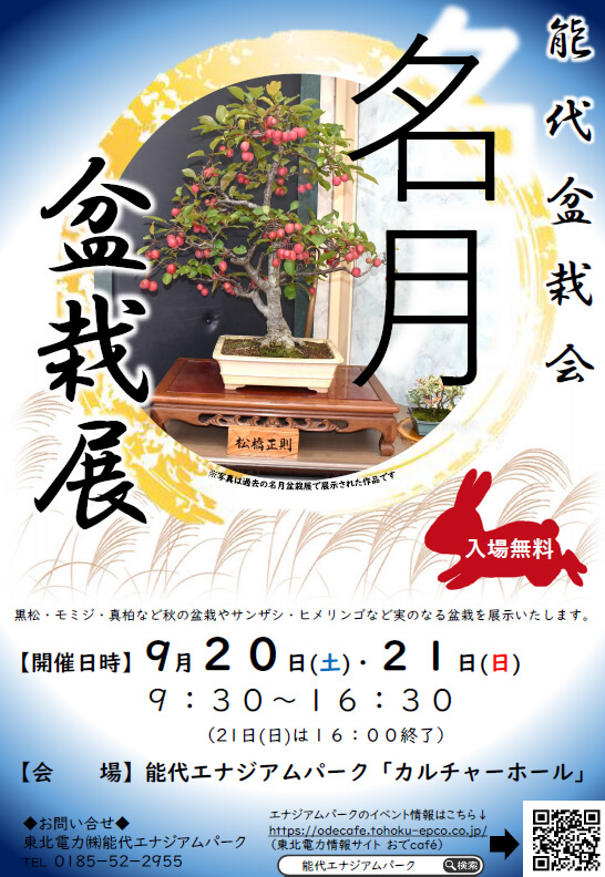 名月盆栽展