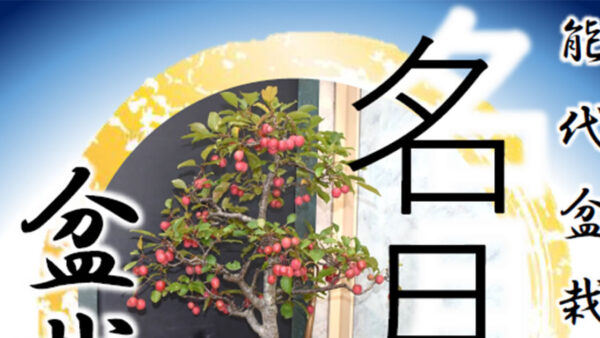 名月盆栽展