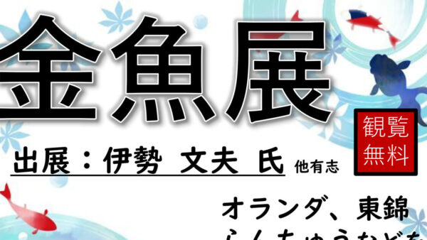金魚展