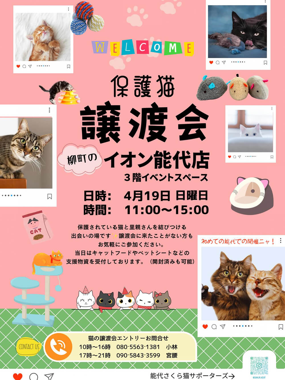 保護猫譲渡会