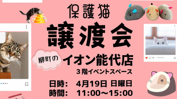 【4月19日】保護猫譲渡会