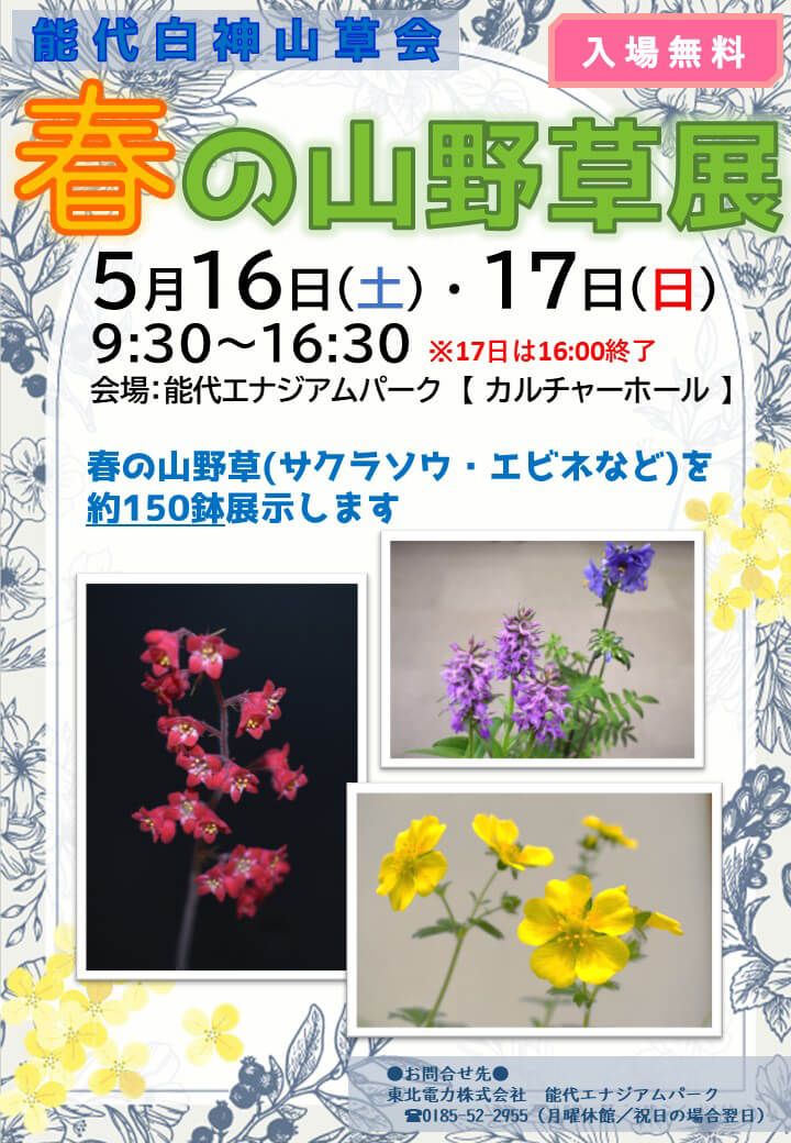 春の山野草展