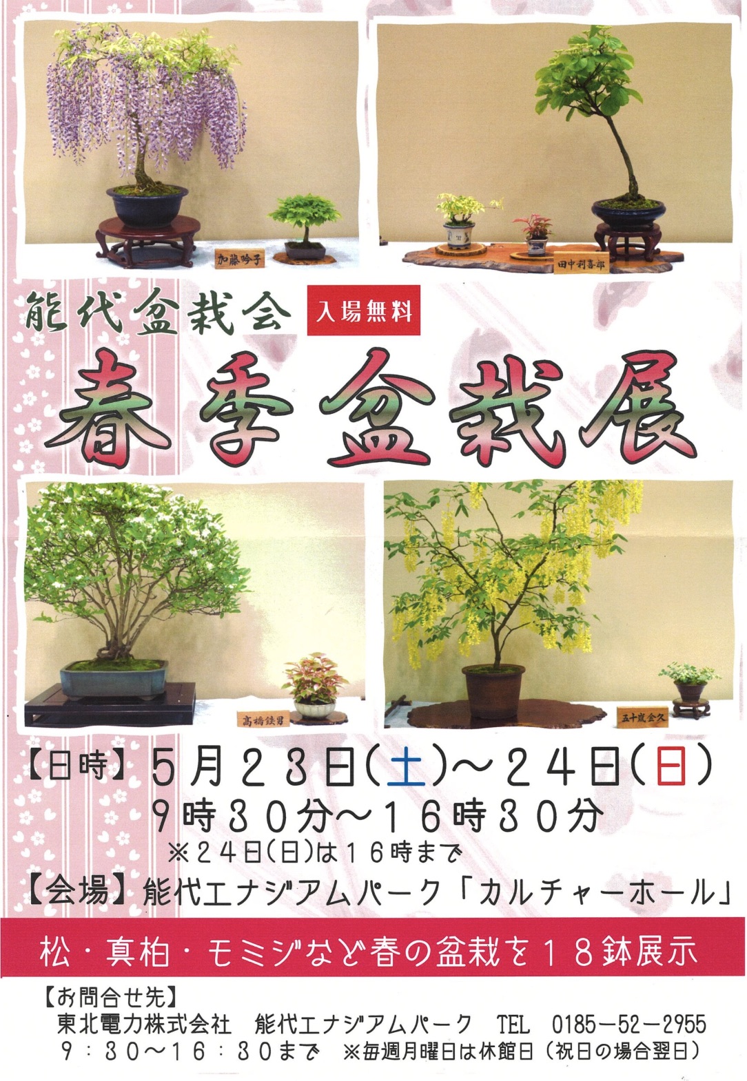 春季盆栽展