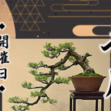 【9月26日・27日】能代盆栽会 名月盆栽展