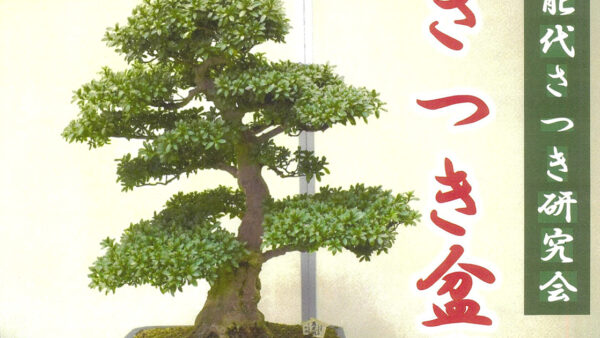 【10月24日、25日】令和８年さつき盆栽展